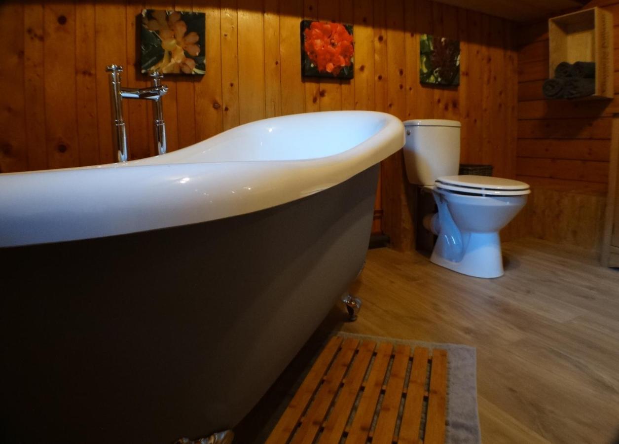 Chalet Des Sangliers Сеез Экстерьер фото